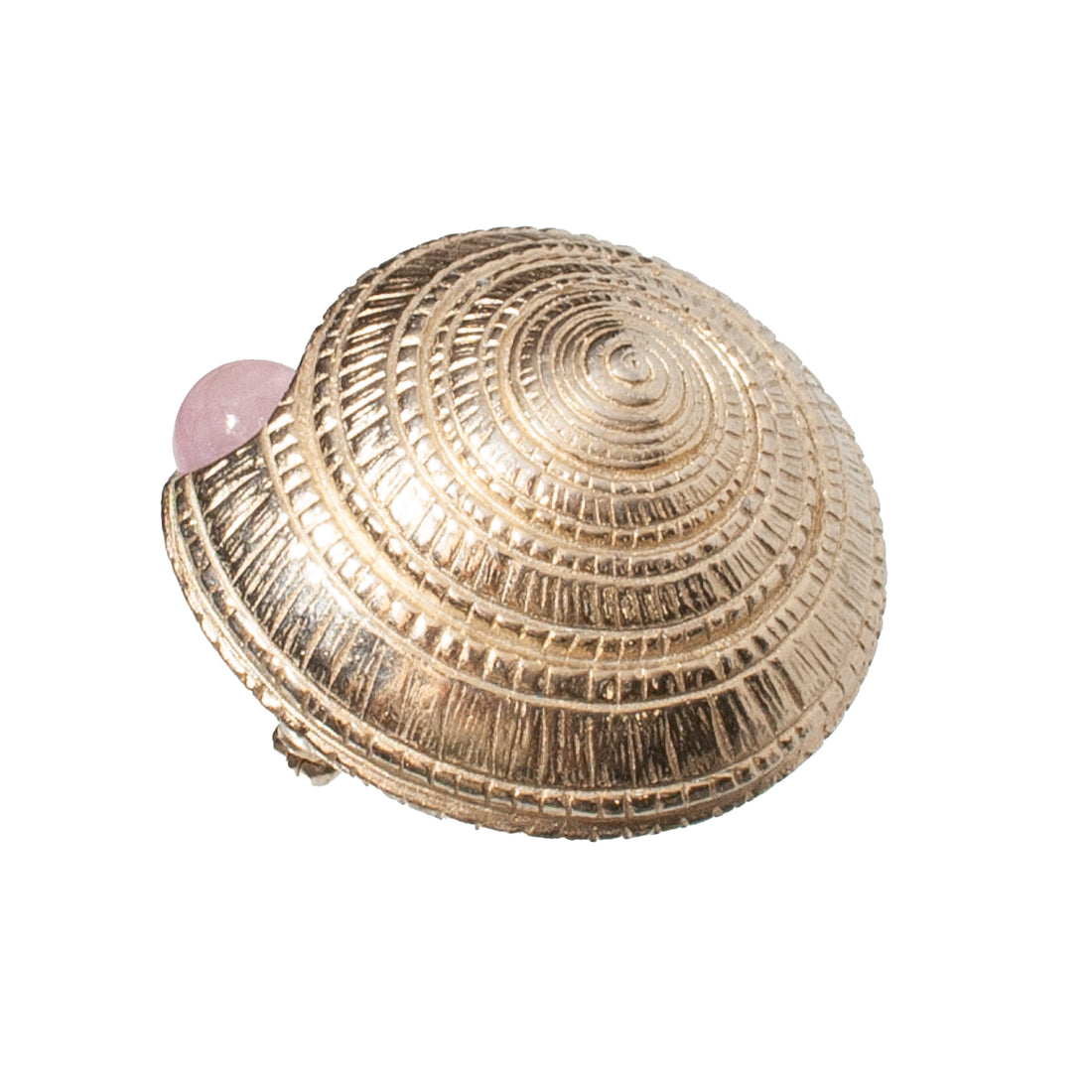 CASTLECLIFF SEA SHELLS: BEJEWELED SHELL BROOCH