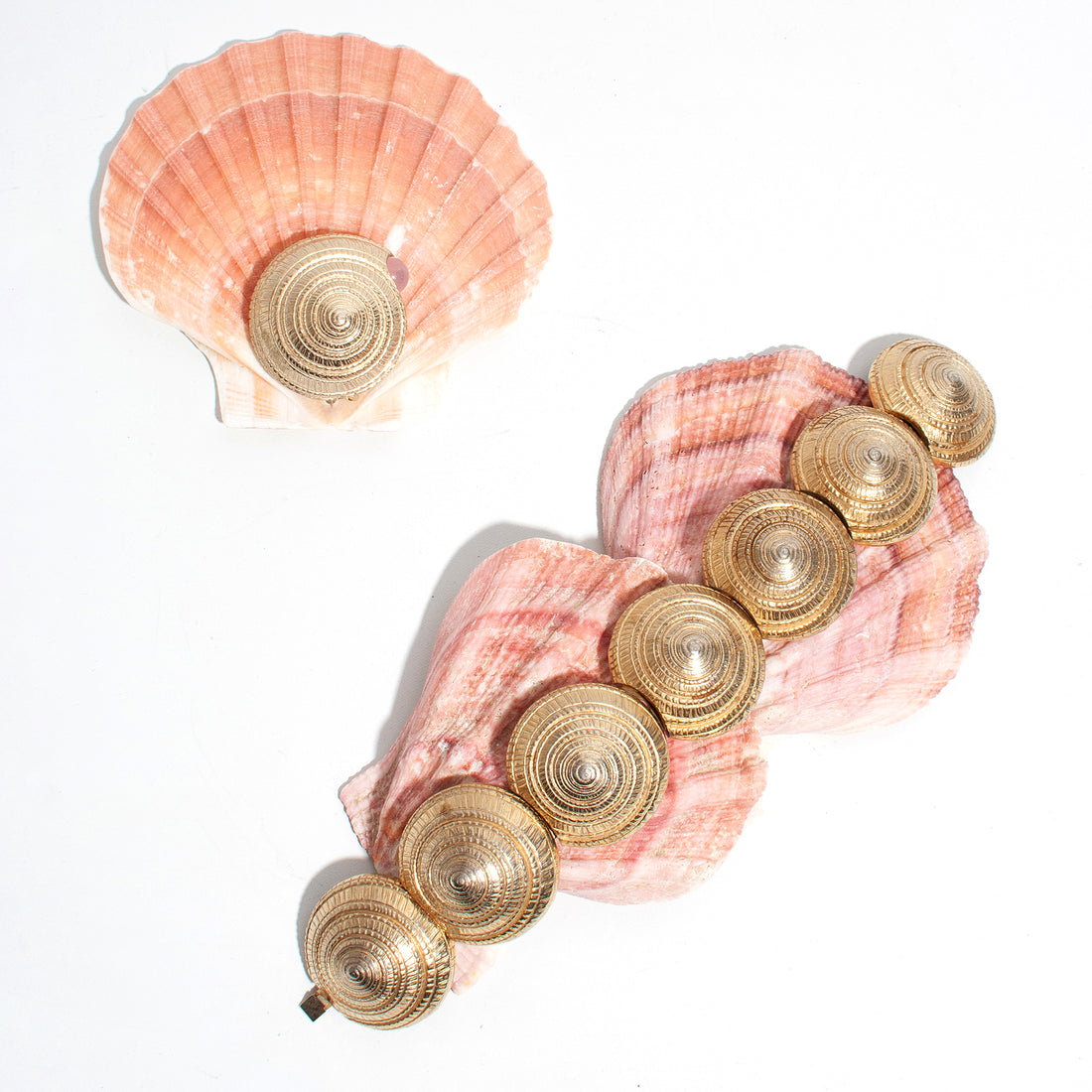 CASTLECLIFF SEA SHELLS: SHELL LINK BRACELET